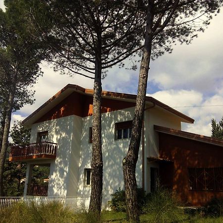 Il Giardino Di Leoca Bed & Breakfast Nicolosi Dış mekan fotoğraf