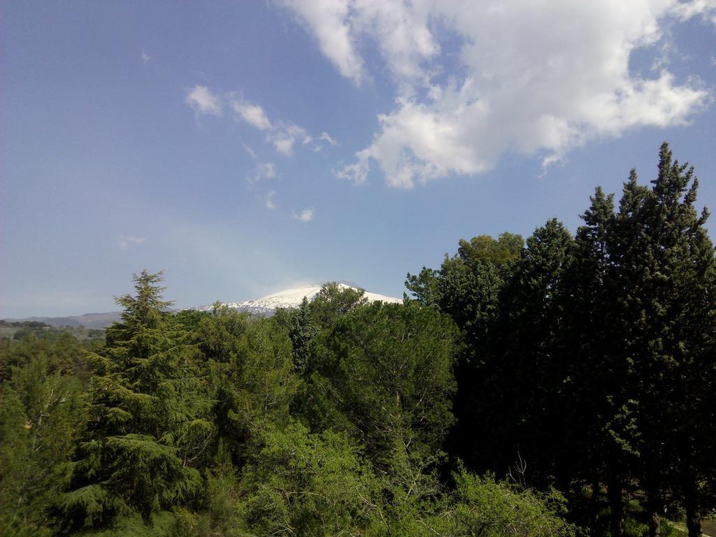 Il Giardino Di Leoca Bed & Breakfast Nicolosi Dış mekan fotoğraf