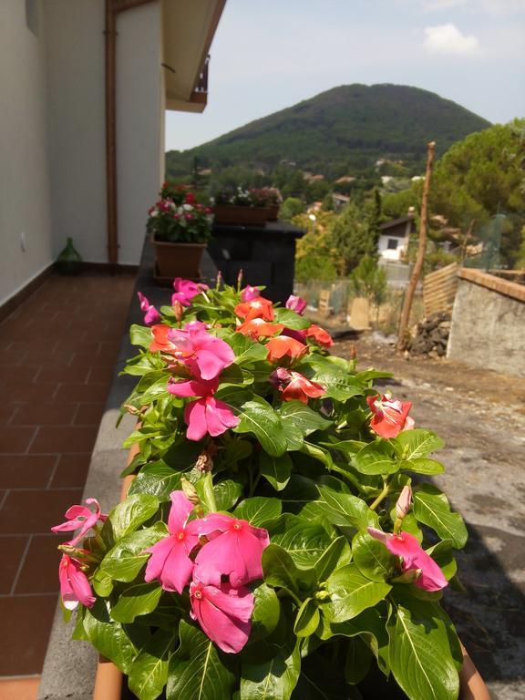 Il Giardino Di Leoca Bed & Breakfast Nicolosi Dış mekan fotoğraf